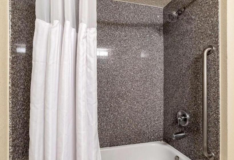 Standard Room King Bed Adapted for people with reduced mobility, Comfort Inn & Suites New Orleans Airport North