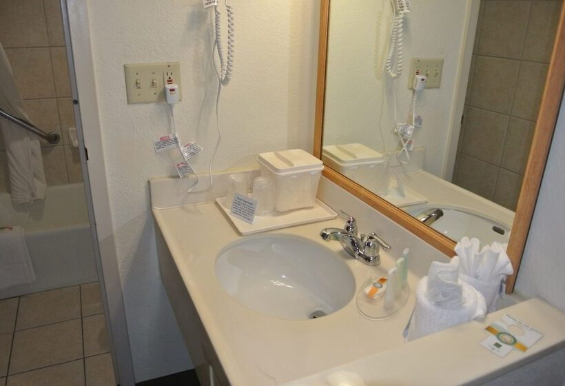 带2个双人床的标准工作室, Quality Inn & Suites North
