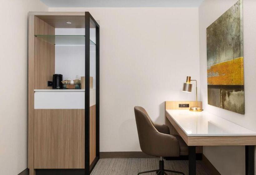 스탠다드 룸 킹사이즈 침대, Springhill Suites By Marriott Baton Rouge South