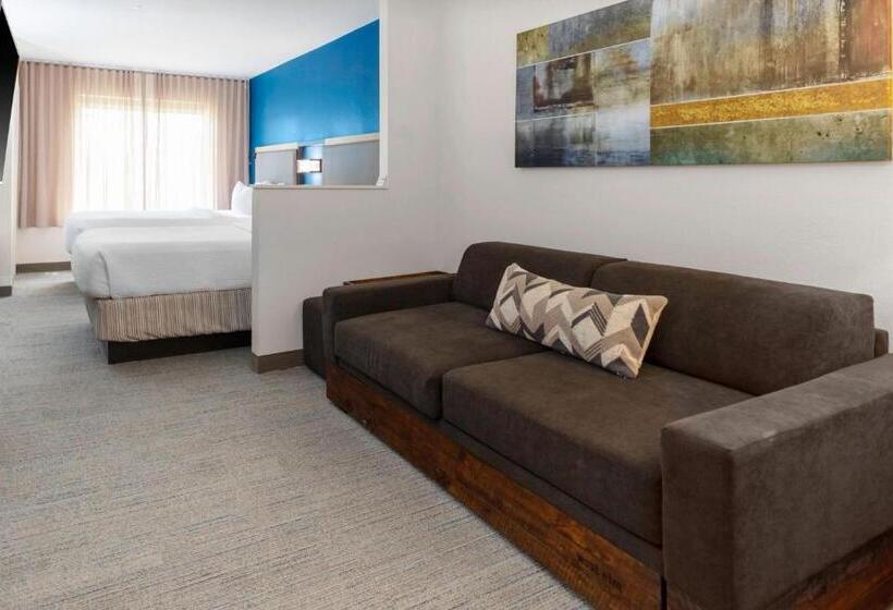 스탠다드 룸 더블 침대 2개, Springhill Suites By Marriott Baton Rouge South