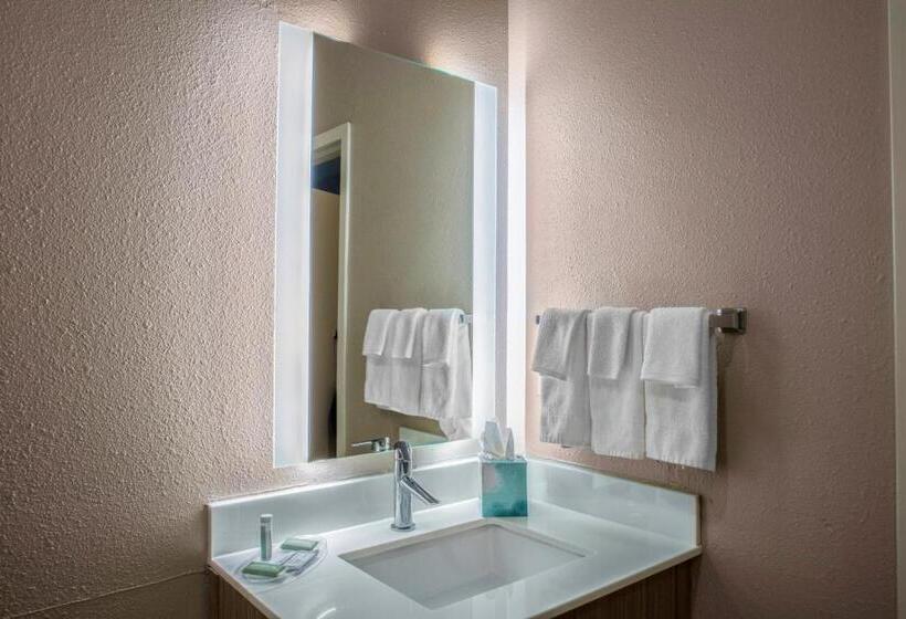 장애인을 위한 스위트, Springhill Suites By Marriott Baton Rouge South
