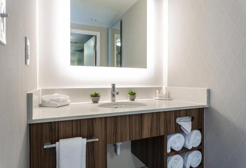 Studio Standard, Springhill Suites By Marriott Austin The Domain Area