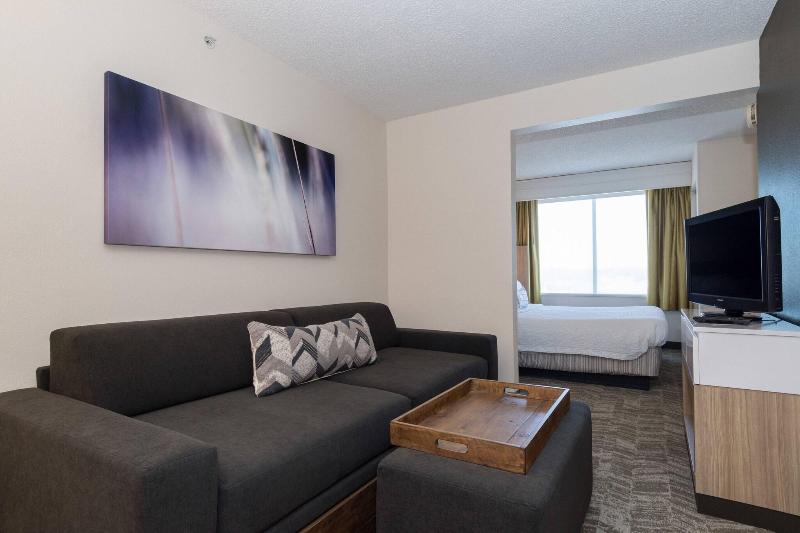 Студио Стандарт Кровать Кинг, Springhill Suites By Marriott Charlotte / Concord Mills Speedway