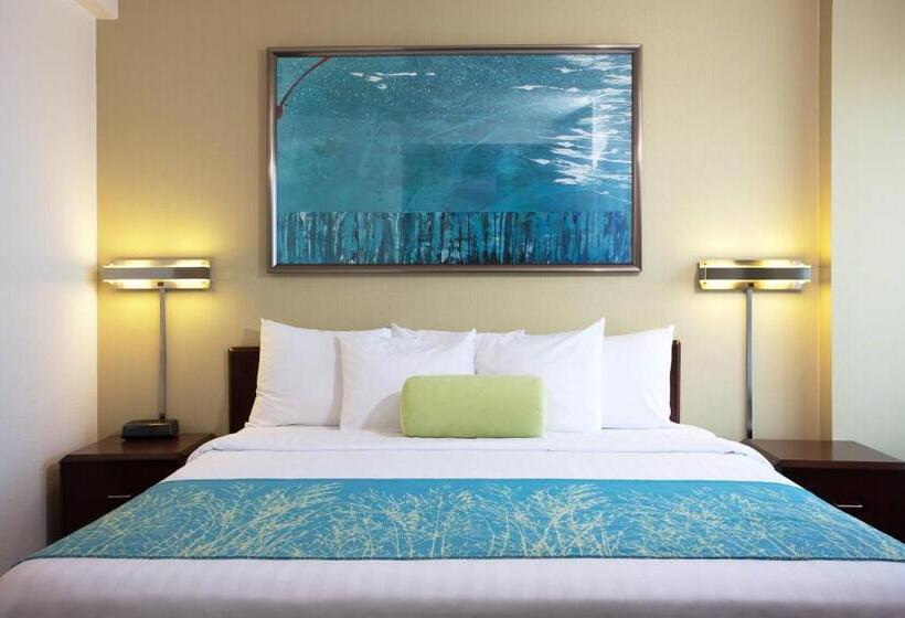 장애인을 위한 스위트, Springhill Suites Los Angeles Lax/manhattan Beach