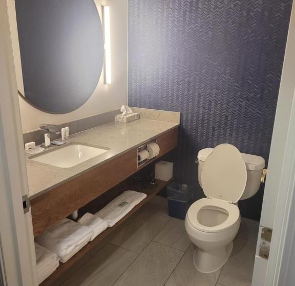 Люкс Кровать Кинг, Fairfield By Marriott Inn & Suites Helena North