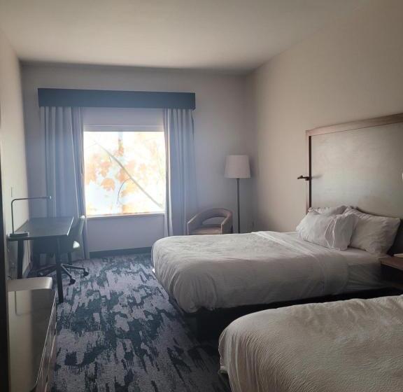 Номер Deluxe Адаптированный для Инвалидов, Fairfield By Marriott Inn & Suites Helena North