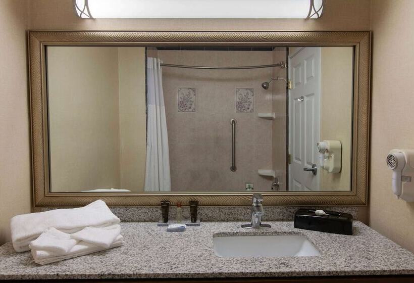 Номер Стандарт 2 Двуспальные Кровати, Wingate By Wyndham Houston / Willowbrook