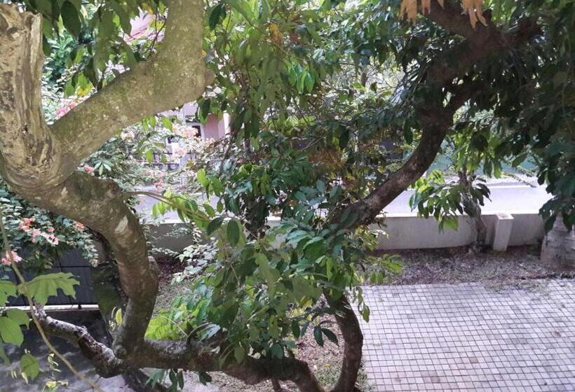 带大床的豪华间, Avondale Colombo