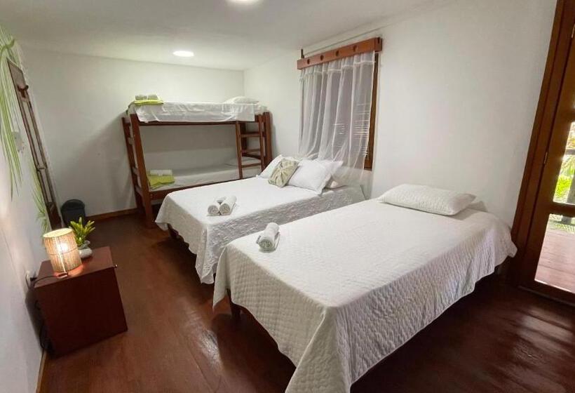 Номер Стандарт Трехместный, Ecohotel Yachay Tayrona Dentro Del Parque Tayrona