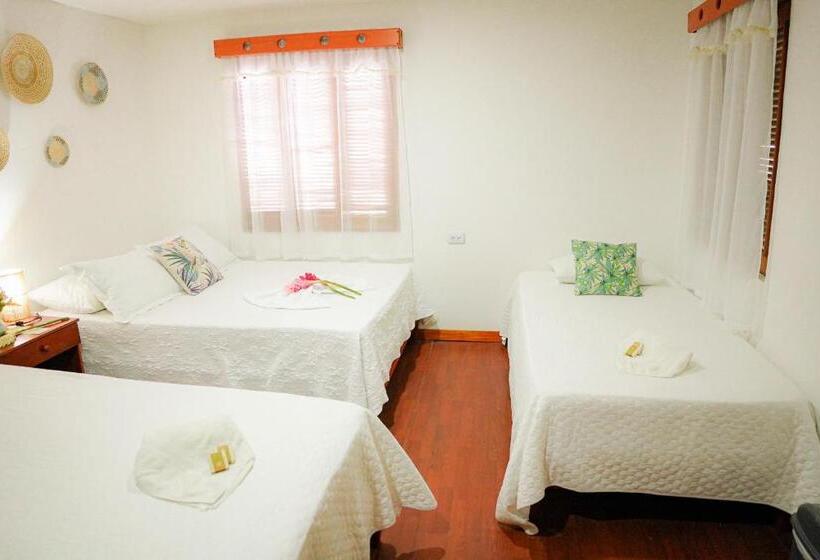 Номер Стандарт Трехместный, Ecohotel Yachay Tayrona Dentro Del Parque Tayrona
