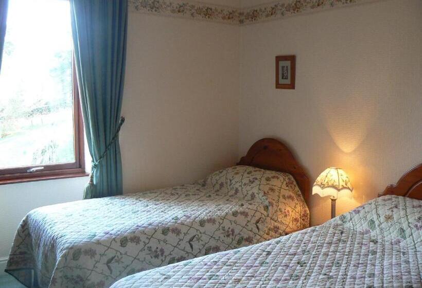 Номер Стандарт, Forest How Guest House
