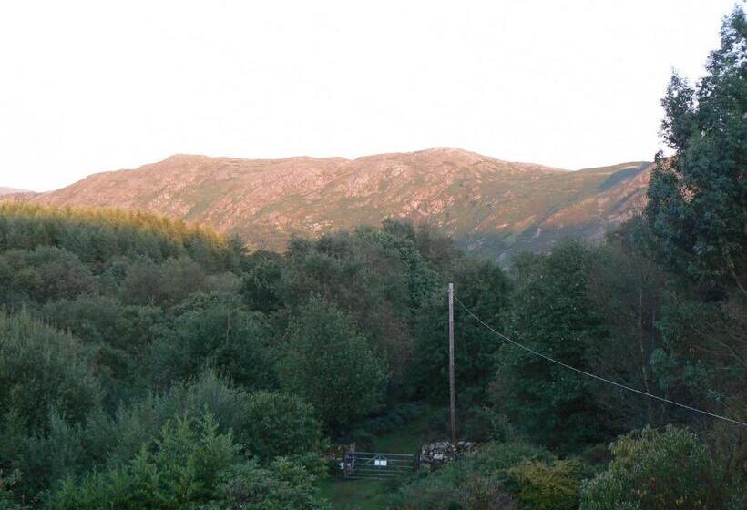 Номер Стандарт Совместная Ванная, Forest How Guest House