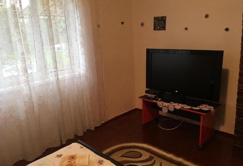 Номер Стандарт Совместная Ванная, Vila La Izvorul Putinei