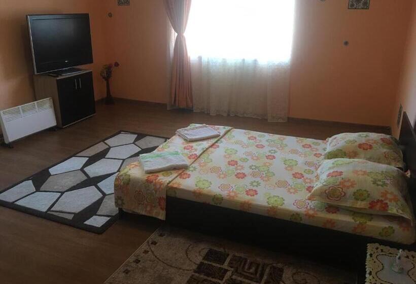 Номер Стандарт, Vila La Izvorul Putinei