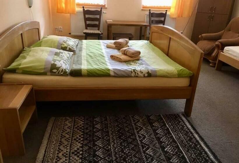 Quarto Estandar, Pension Grizzly