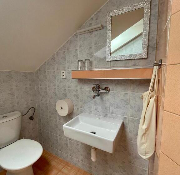 Quarto Estandar, Pension Grizzly