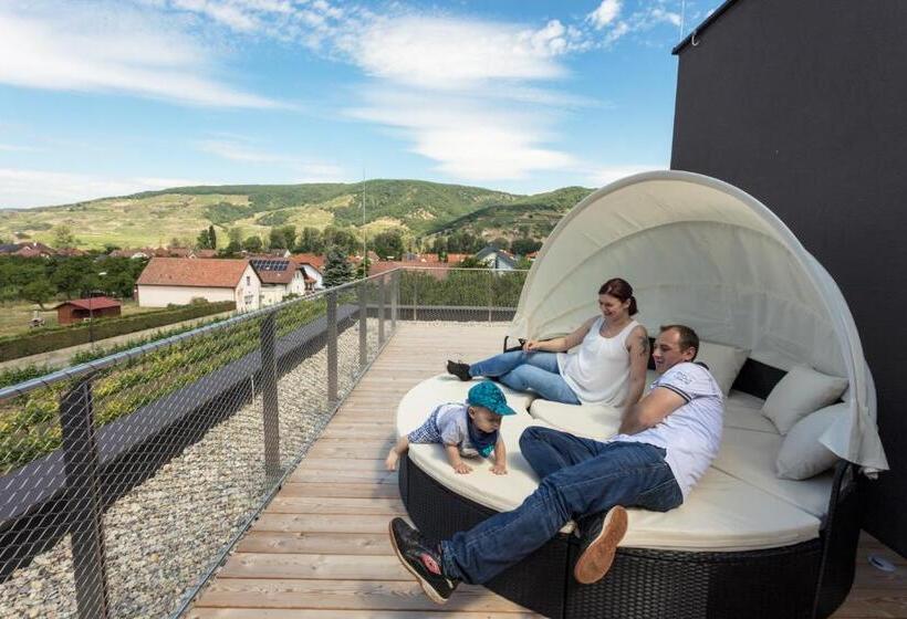 Люкс Повышенной Комфортности, Weinlodge Siedler