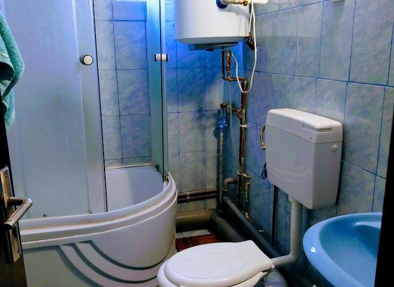 Семейный Номер Совместный Санузел, Casa Andreea