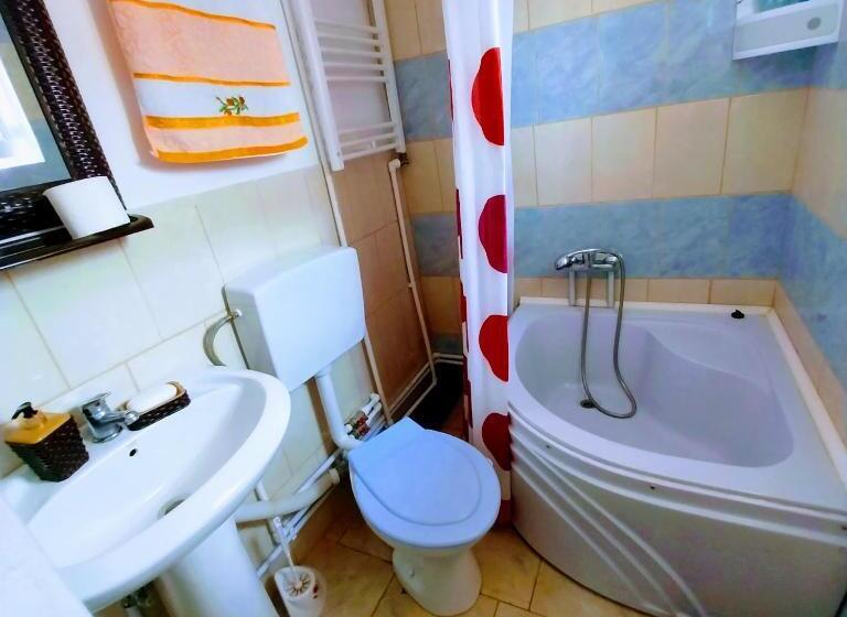Номер Deluxe, Casa Andreea