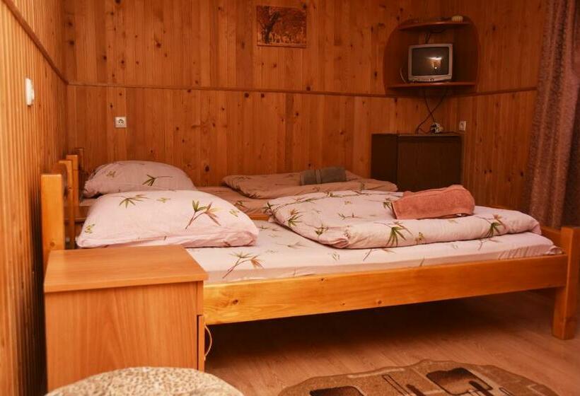 Номер Стандарт, Guest House Mandrivnyi Rooms&apartments