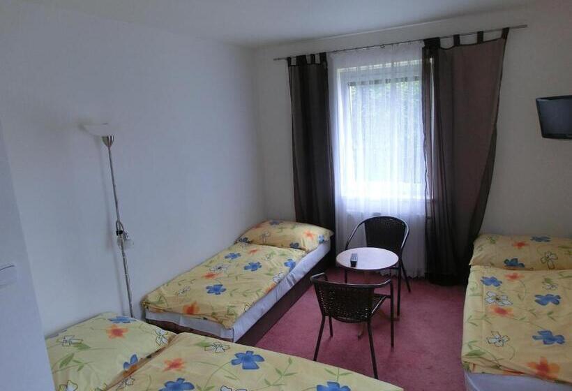 Номер Стандарт Трехместный, Vila Evička