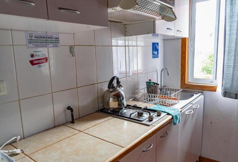 Апартаменты 1 Спальня, Cabañas Hostel Aquario Papudo