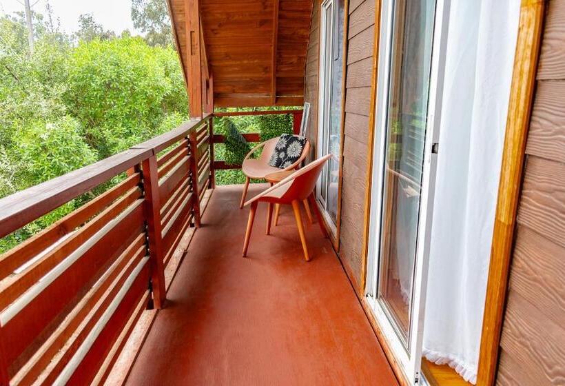 Люкс с Террасой, Cabañas Hostel Aquario Papudo