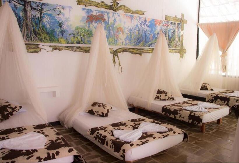 빌라 침실 1개, Monte Verde Hostal