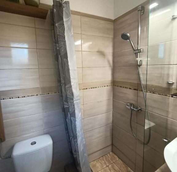 Апартаменты 1 Спальня, Tölgyfa Panzió