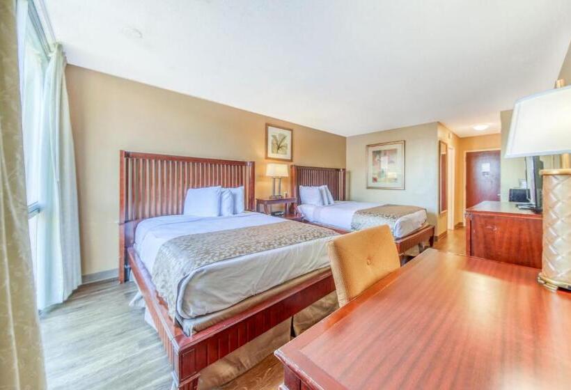 Quarto Estandar, Floridian Express International Drive