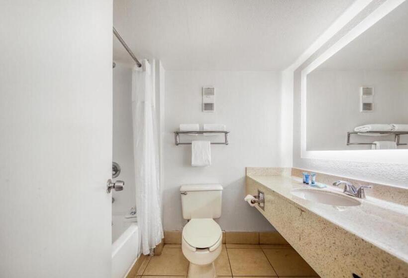 Quarto Estandar Cama King para Deficientes Físicos, Floridian Express International Drive