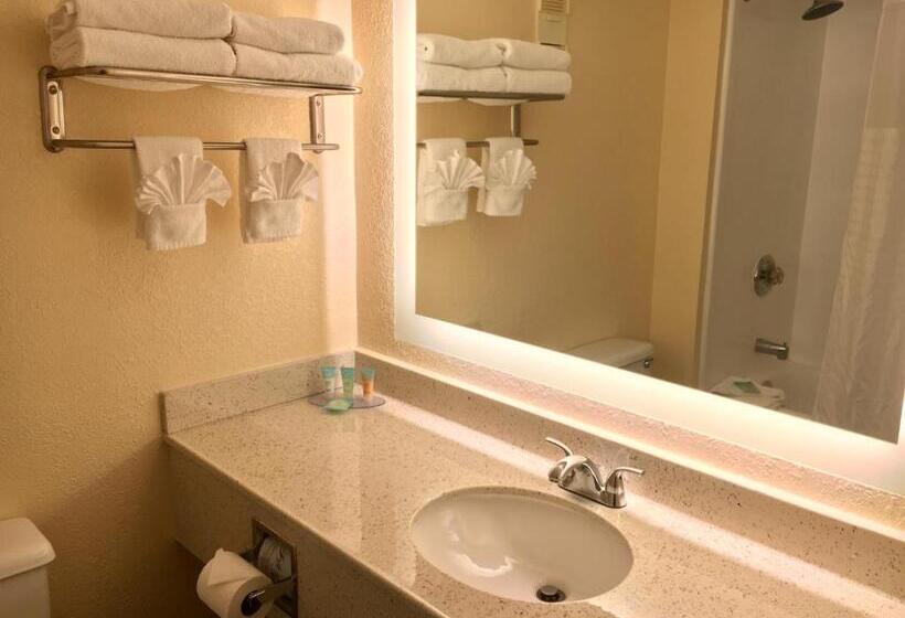 Quarto Estandar Cama King para Deficientes Físicos, Floridian Express International Drive