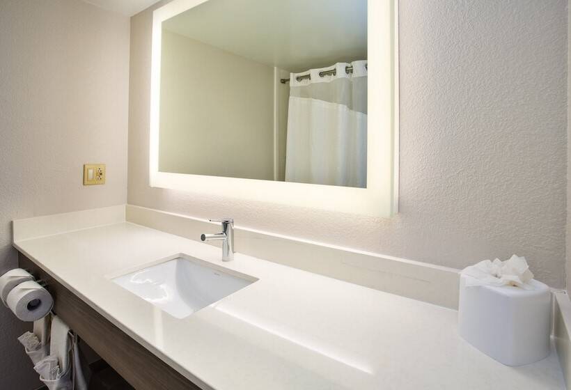Standard Szoba, Holiday Inn Express Nashville Airport, An Ihg