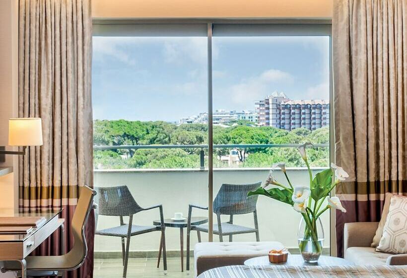 디럭스 룸 가든 전망, Rixos Premium Belek, The Land of Legends Access