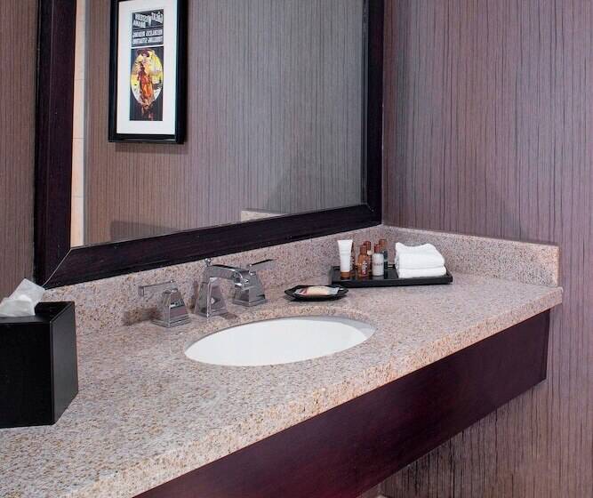 Номер Стандарт 2 Двуспальные Кровати, Sheraton North Houston At George Bush Intercontinental