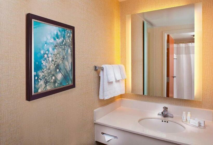 استودیو استاندارد با بالکن, Springhill Suites By Marriott Orlando Lake Buena Vista In Marriott Village