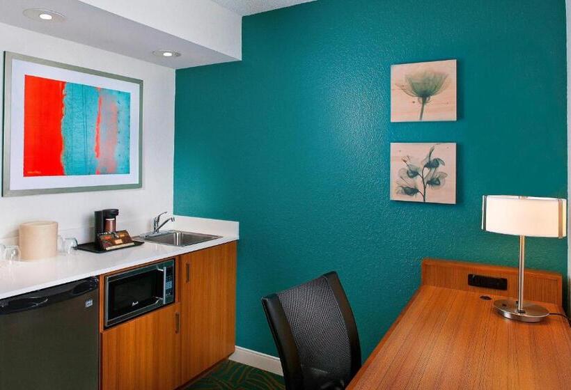 استودیوی استاندارد, Springhill Suites By Marriott Orlando Lake Buena Vista In Marriott Village