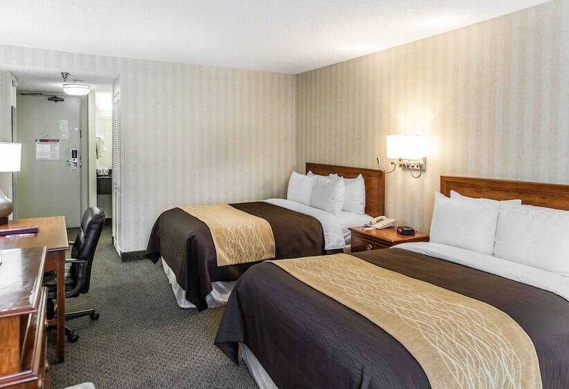 اتاق استاندارد با 2 تخت دوبل, Comfort Inn Pentagon City