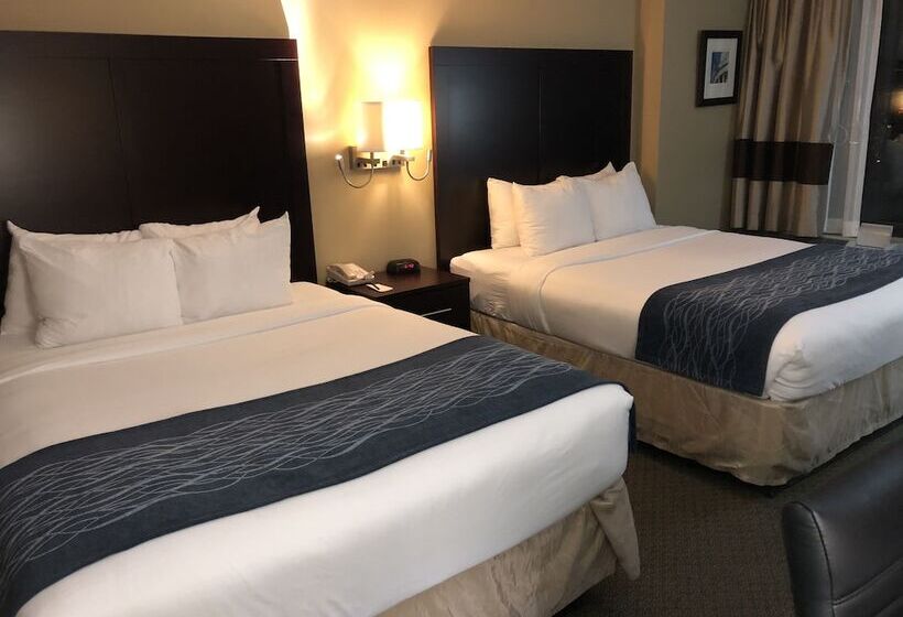اتاق استاندارد با 2 تخت دوبل, Comfort Inn Pentagon City
