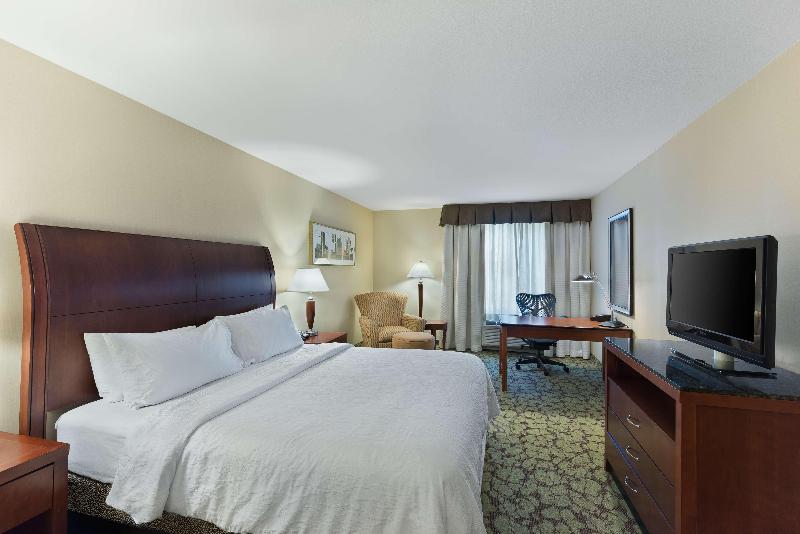 스탠다드 룸 킹사이즈 침대, Hilton Garden Inn Lax  El Segundo