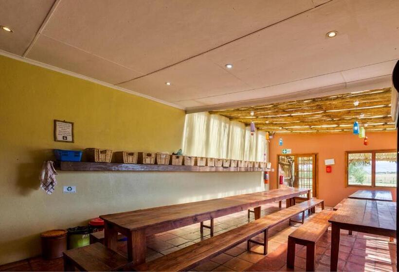 Кровать в Общей Комнате, Amphitheatre Backpackers Lodge