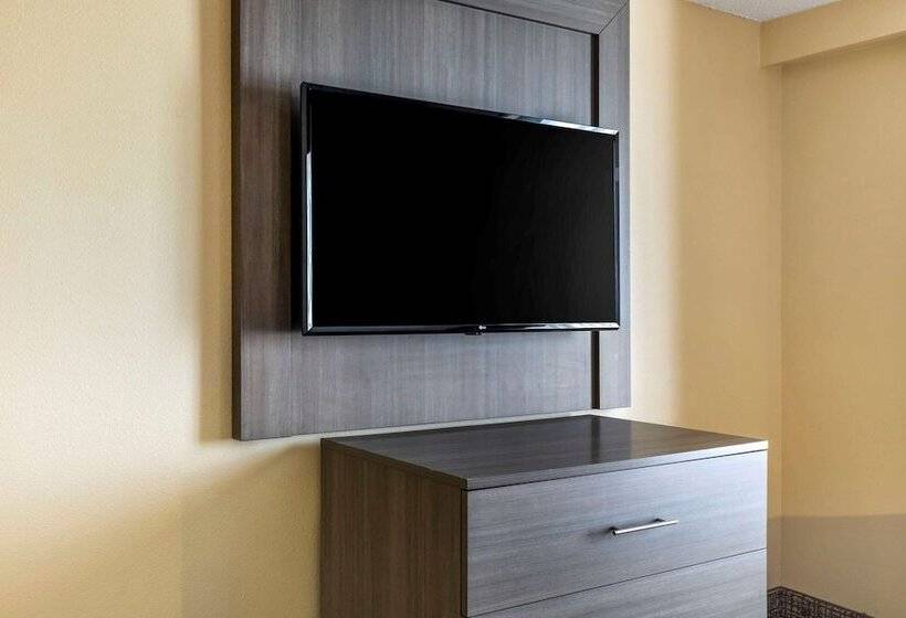 Süit, Comfort Suites Dfw Airport