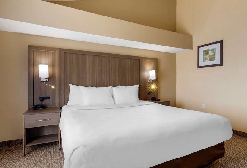 Süit, Comfort Suites Dfw Airport