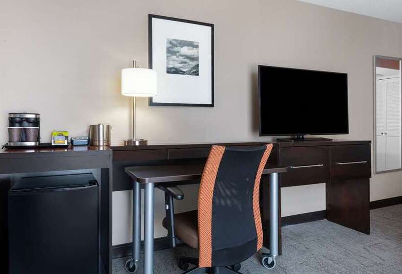 חדר סטנדרט עם מיטת קינג, Doubletree By Hilton Ann Arbor North