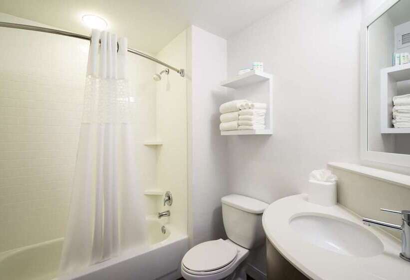 스탠다드 룸 킹사이즈 침대, Doubletree By Hilton Ann Arbor North