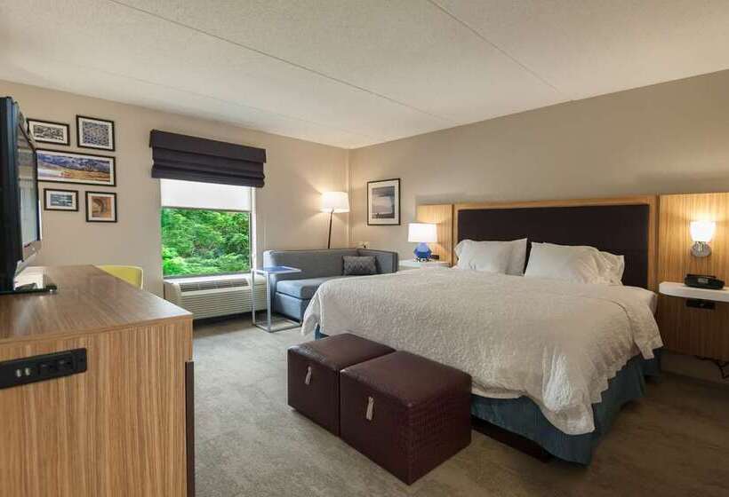 스탠다드 룸 킹사이즈 침대, Doubletree By Hilton Ann Arbor North