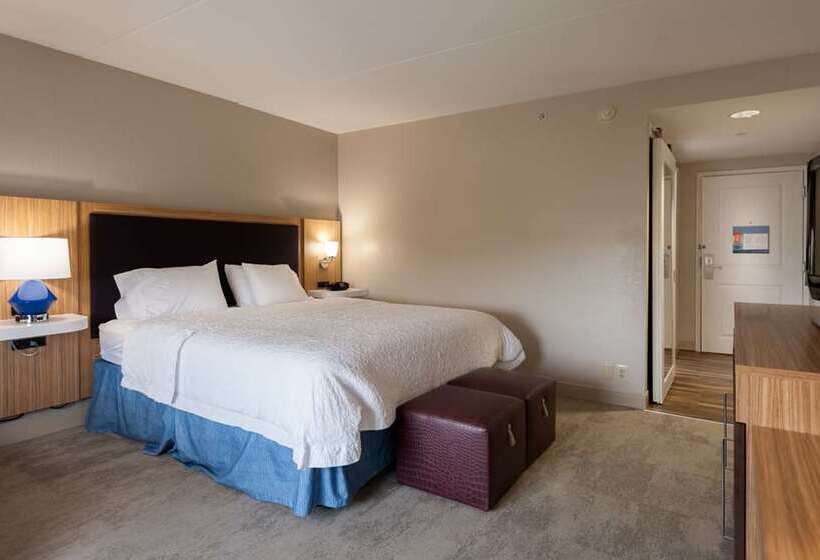 스탠다드 룸 킹사이즈 침대, Doubletree By Hilton Ann Arbor North