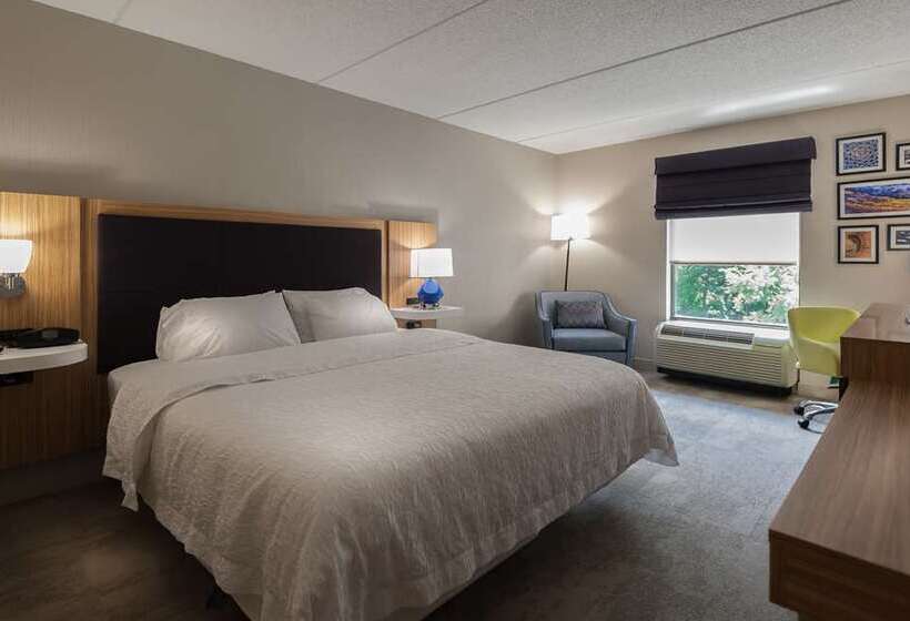 חדר סטנדרט עם מיטת קינג, Doubletree By Hilton Ann Arbor North