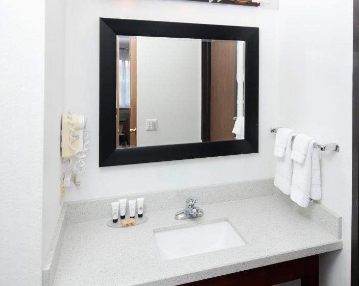 스탠다드 룸 킹사이즈 침대, Red Lion Inn & Suites Auburn