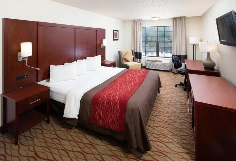 주니어 스위트, Red Lion Inn & Suites Auburn